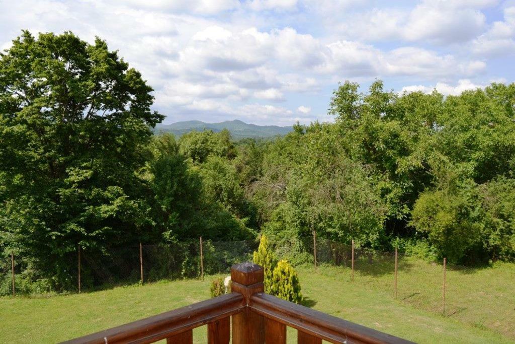 Sichanova Guest House Bruchkovtsi Luaran gambar